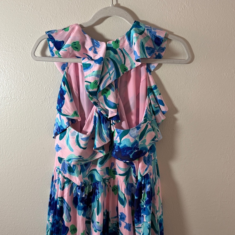Lilly Pulitzer Rory Dress - Picture 11 of 12